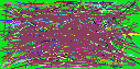 search for people